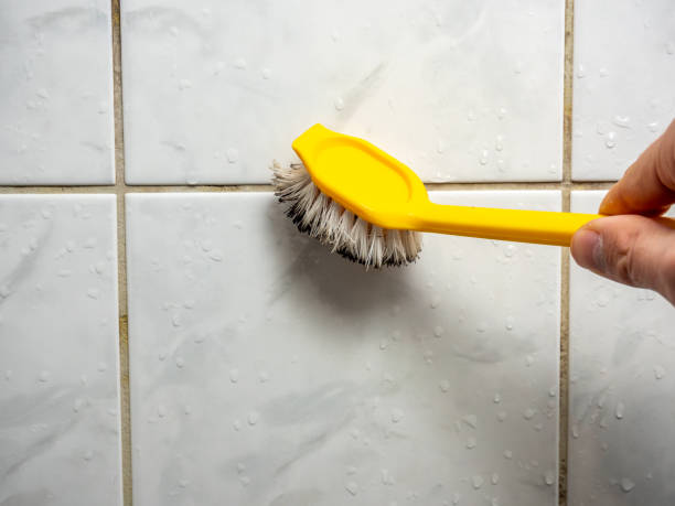 Best Emergency Mold Remediation in Grinnell, IA